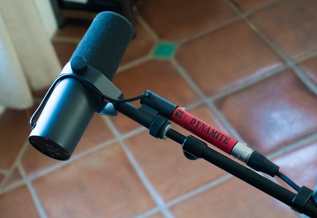 microfono streamer